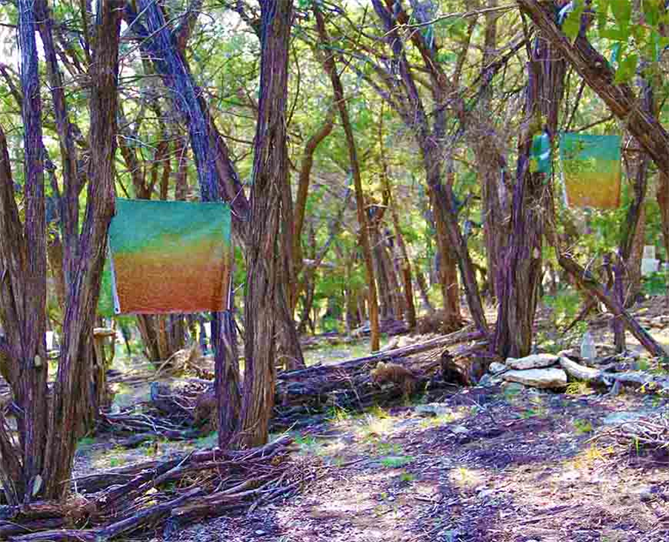 Land Art With Purpose,,
Land Artist DAPACU
Texas Land Art,
Art Gallery,
Studio
Art