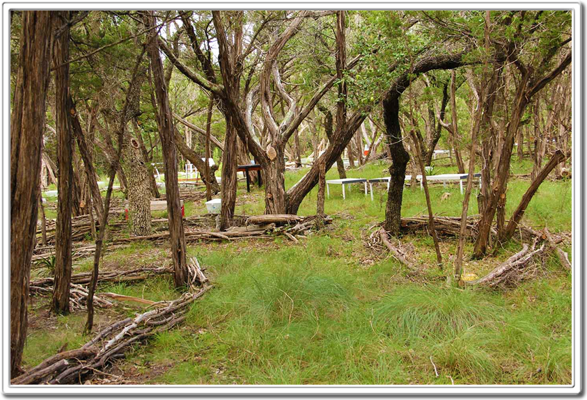 Texas Land Art